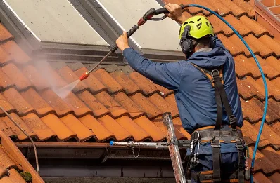 Démoussage et hydrofuge de toiture à Puiseux